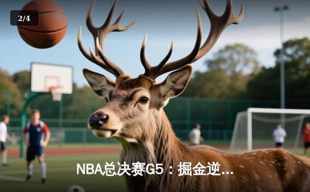 NBA总决赛G5：掘金逆转热火夺赛点，约基奇30+20+10创历史 - 2