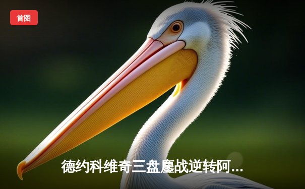 德约科维奇三盘鏖战逆转阿尔卡拉斯 第7次加冕ATP年终总决赛冠军